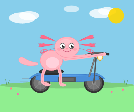 coverage__axolotl_scooter