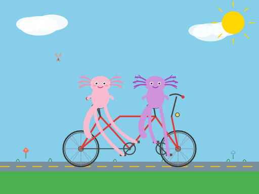 coverage__axolotl_tandem-bicycle