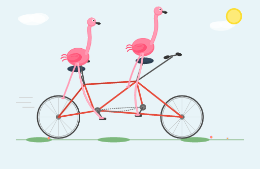 coverage__flamingo_tandem-bicycle