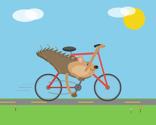 coverage__hedgehog_bicycle