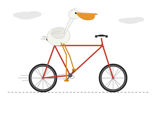 coverage__pelican_bicycle