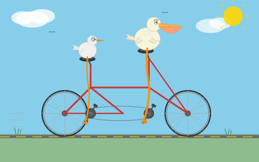 coverage__pelican_tandem-bicycle